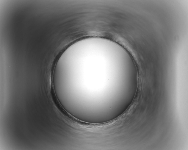 X0000089690011200706210843