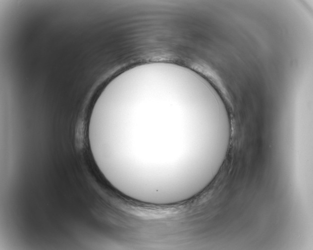 X0000089690012200706210843
