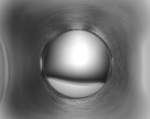 X0000089690013200706210843