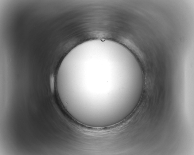X0000089690014200706210843