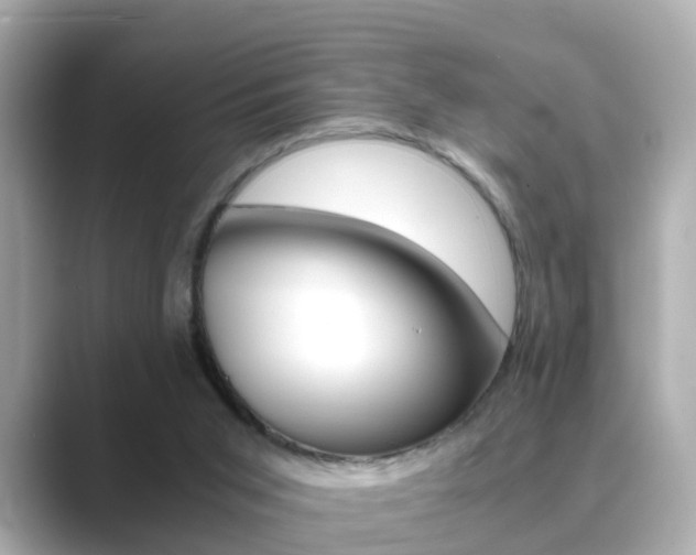 X0000089690015200706210843