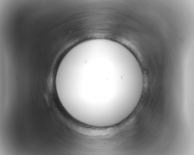 X0000089690016200706210843