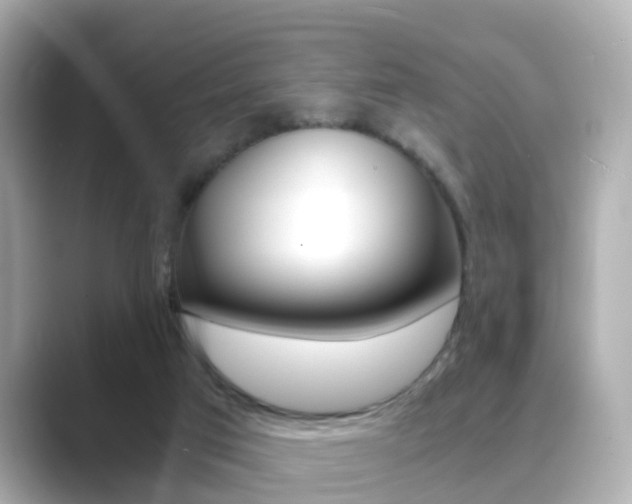 X0000089690017200706210843
