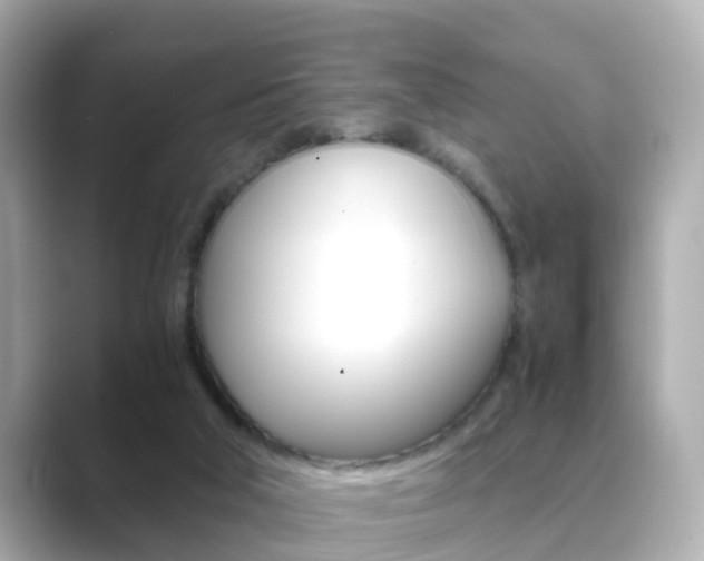 X0000089690018200706210843