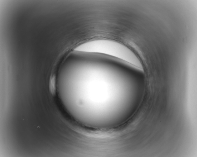 X0000089690020200706210843