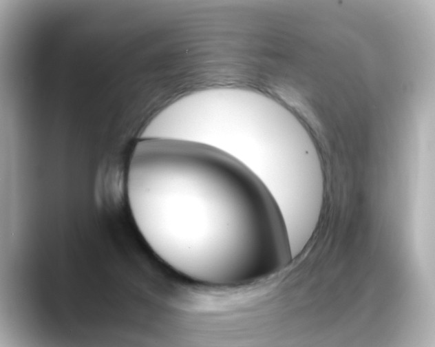 X0000089690021200706210843