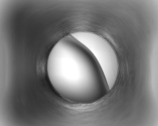 X0000089690023200706210843