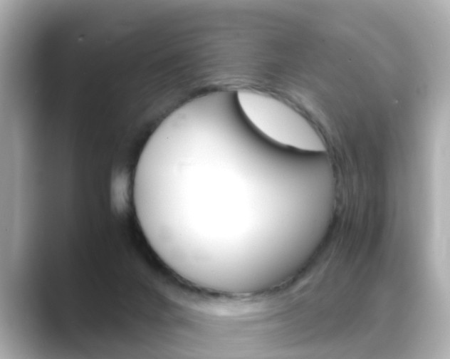 X0000089690024200706210843