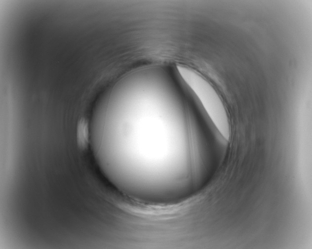 X0000089690027200706210843