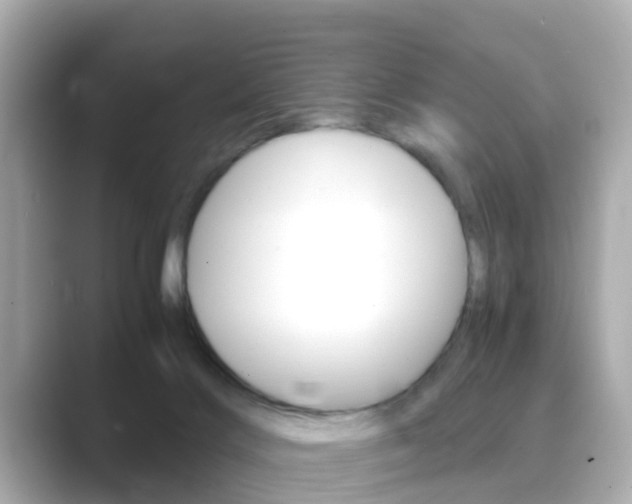 X0000089690028200706210843
