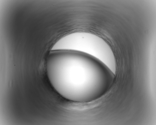 X0000089690029200706210843