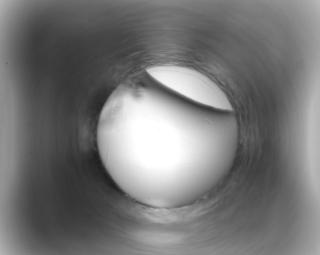 X0000089690030200706210843