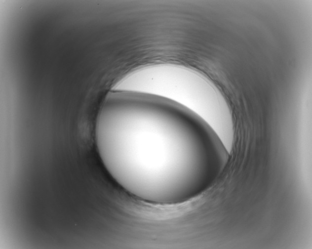 X0000089690031200706210843