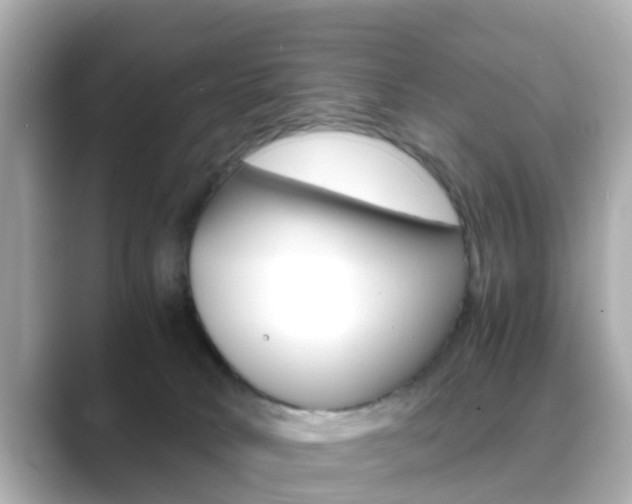 X0000089690034200706210843