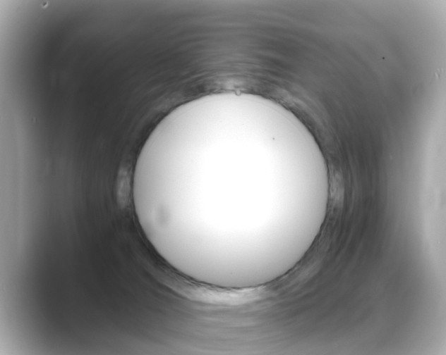 X0000089690036200706210843