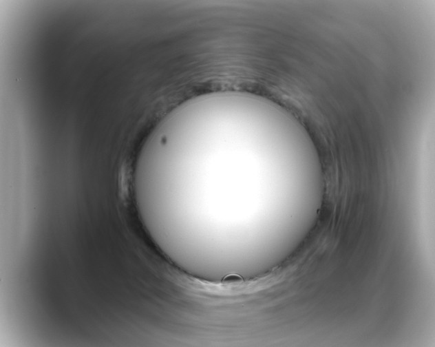 X0000089690038200706210843
