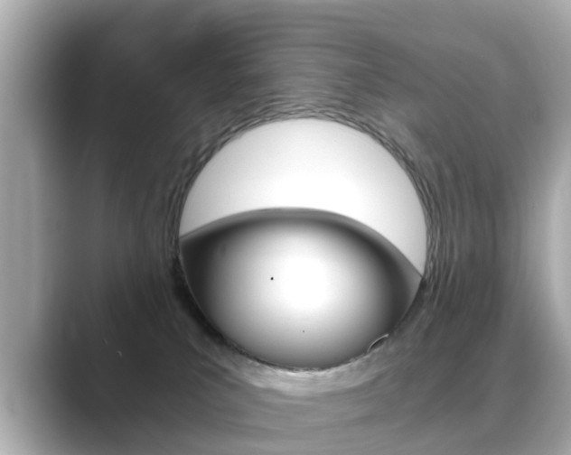 X0000089690039200706210843