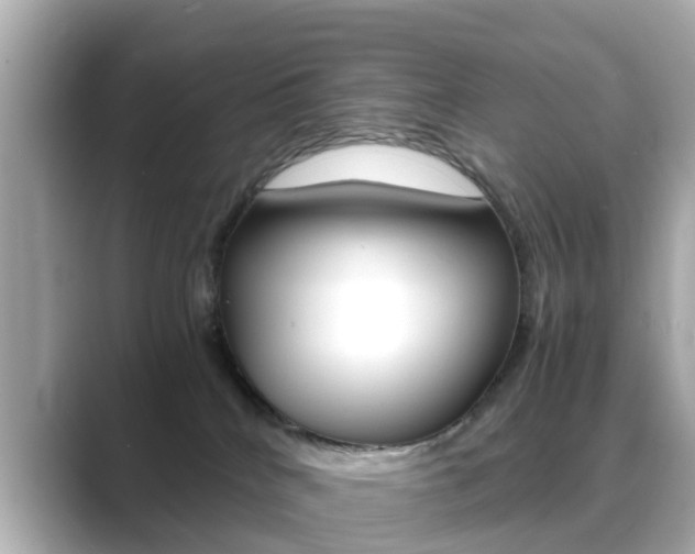 X0000089690040200706210843