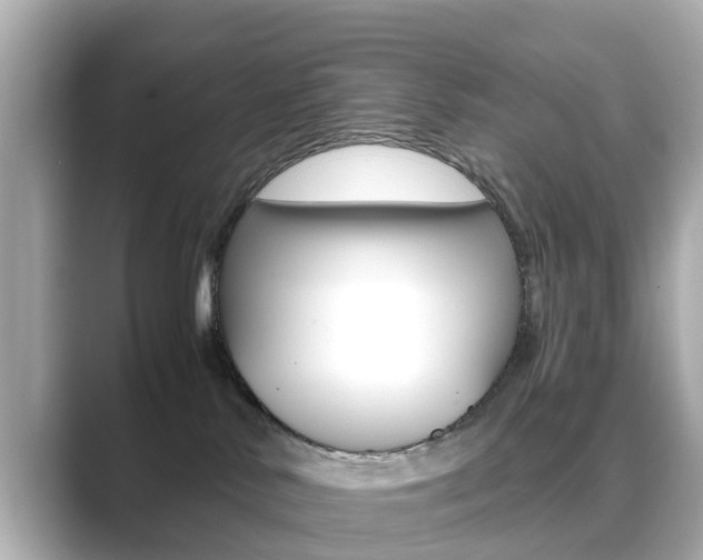 X0000089690042200706210843