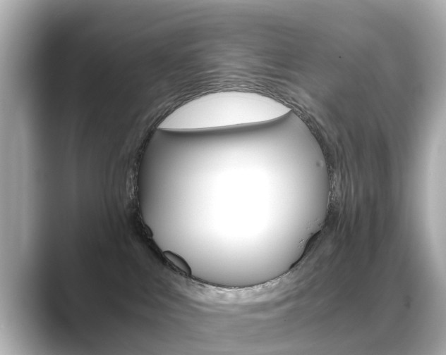 X0000089690043200706210843