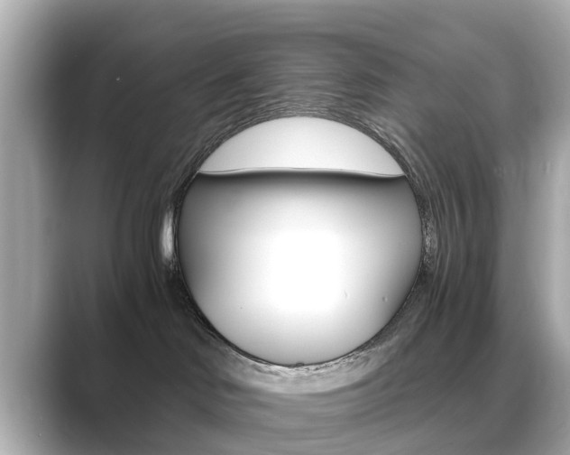 X0000089690046200706210843