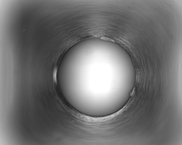 X0000089690047200706210843