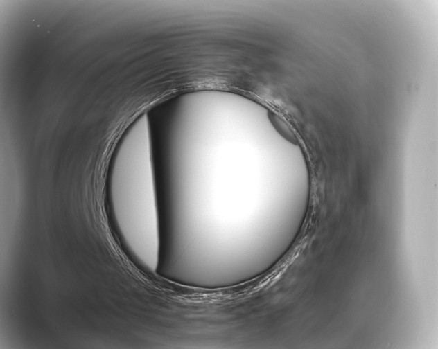 X0000089690049200706210842