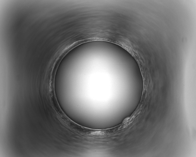 X0000089690050200706210842
