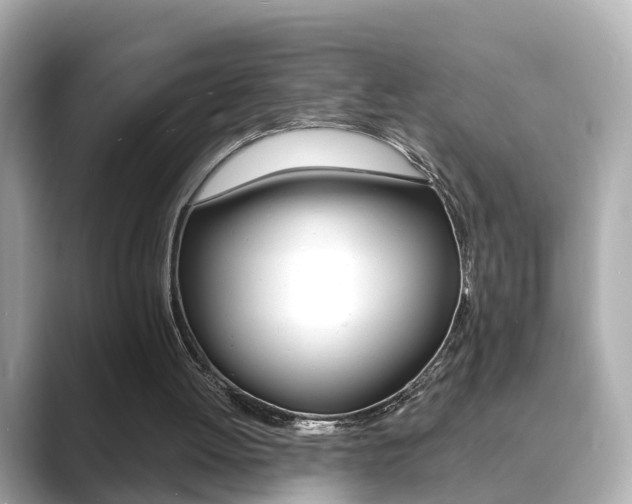 X0000089690052200706210842