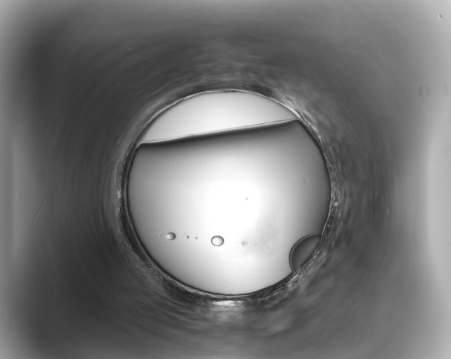 X0000089690053200706210842