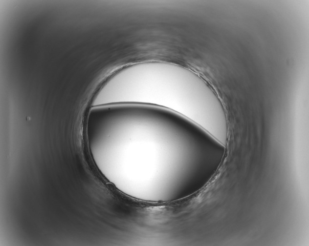 X0000089690054200706210842