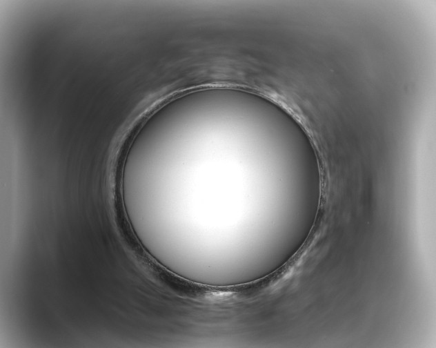 X0000089690055200706210842