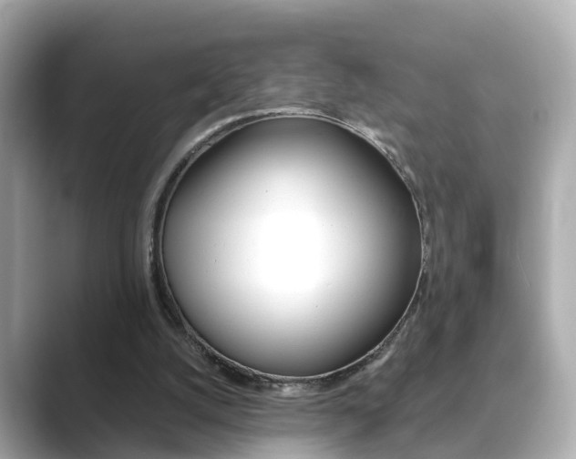 X0000089690056200706210842