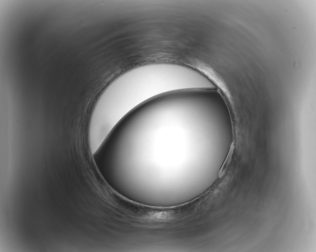 X0000089690057200706210842