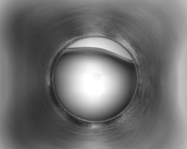 X0000089690060200706210842
