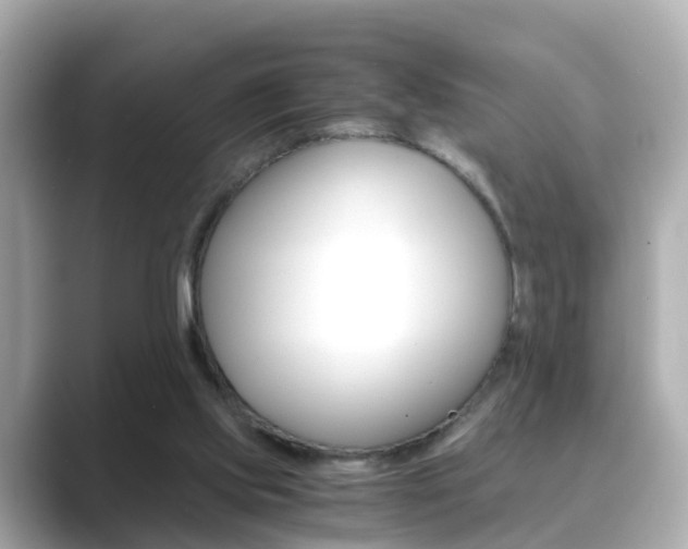 X0000089690061200706210842