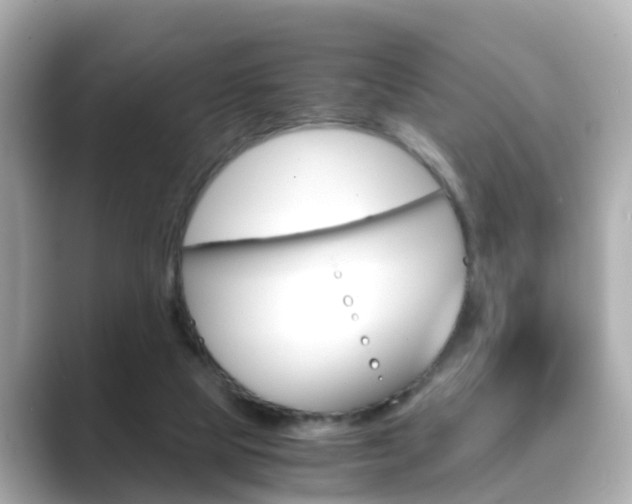 X0000089690065200706210842