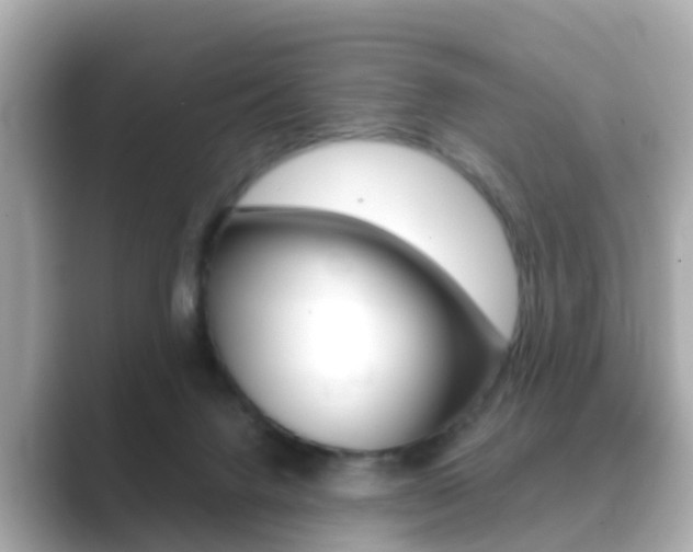 X0000089690072200706210842