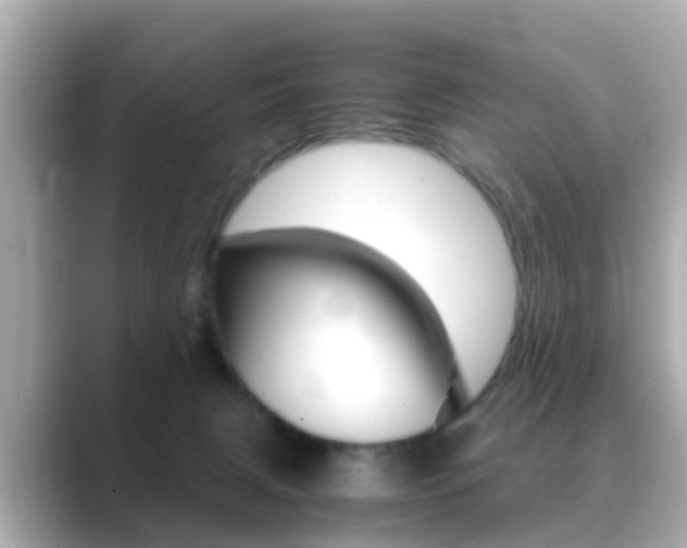 X0000089690079200706210842