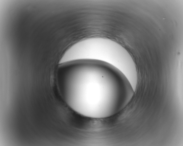 X0000089690080200706210842