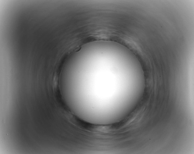 X0000089690081200706210842