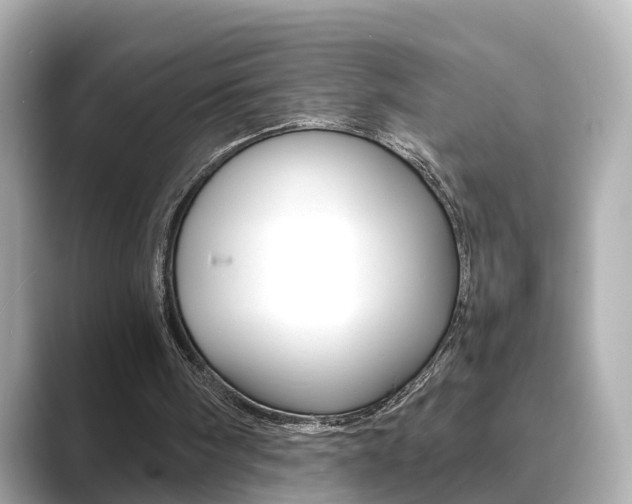 X0000089690098200706210842