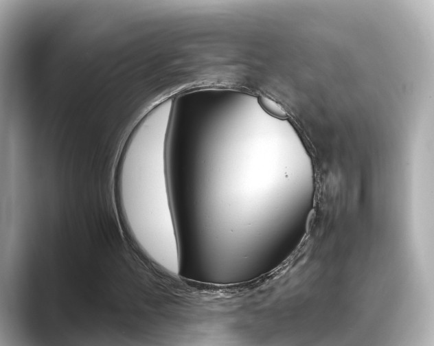 X0000089690100200706210842