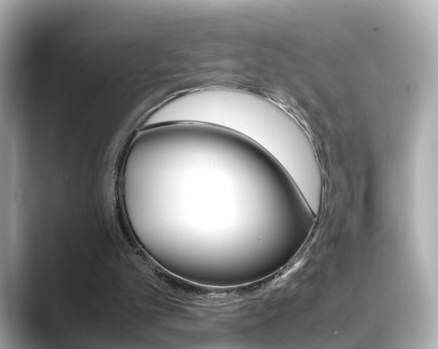 X0000089690101200706210842