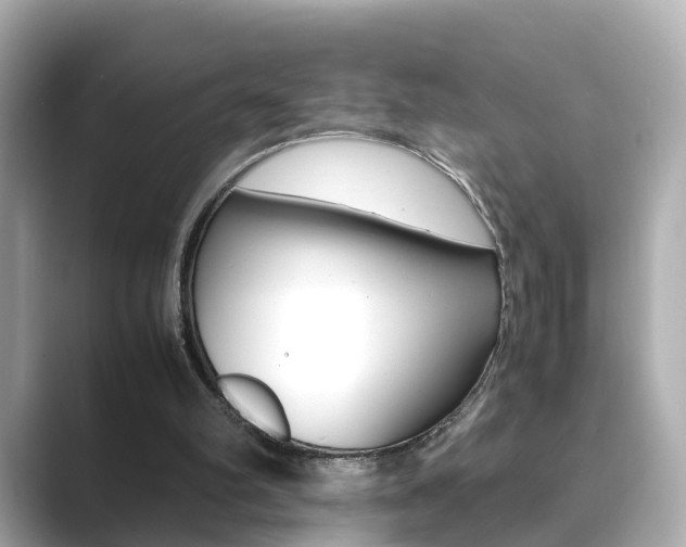 X0000089690102200706210842
