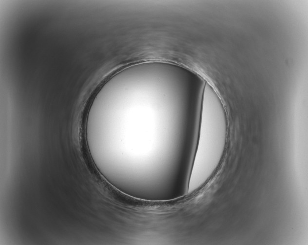 X0000089690103200706210842