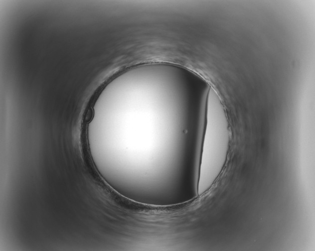 X0000089690104200706210842