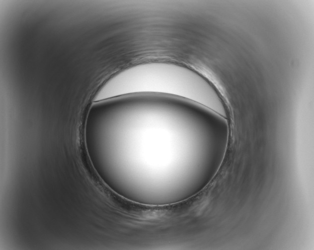 X0000089690105200706210842