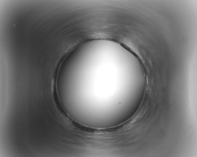X0000089690109200706210842