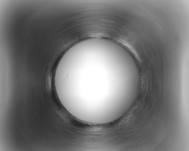 X0000089690110200706210842